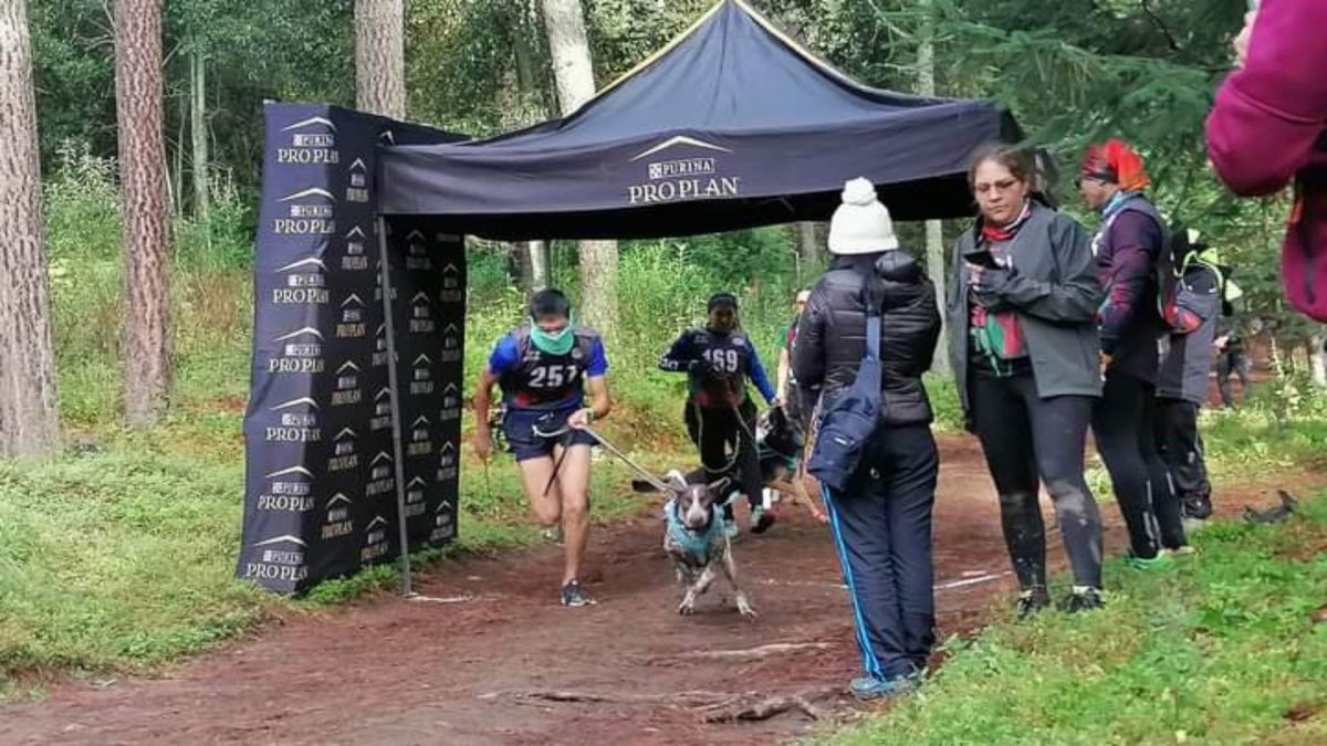 ¡Muy perrunos! Estudiante del Tec de Monterrey campus Puebla y su perro Azlan van por México al mundial de canicross