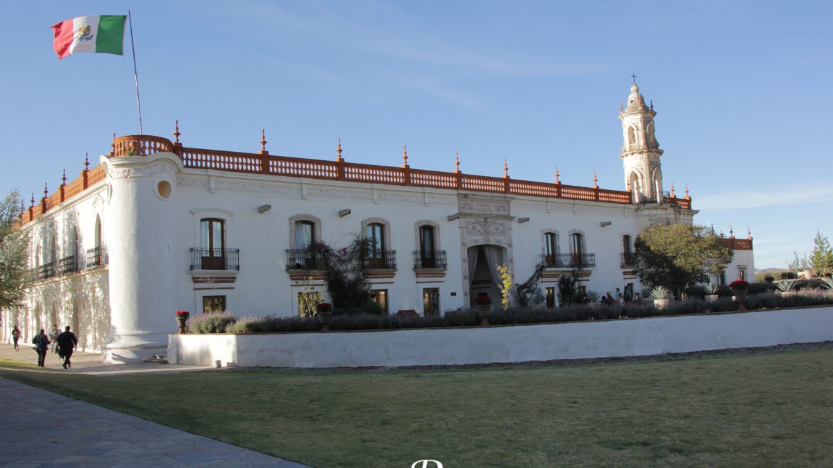 FESTIVAL DE SENTIDOS 2024