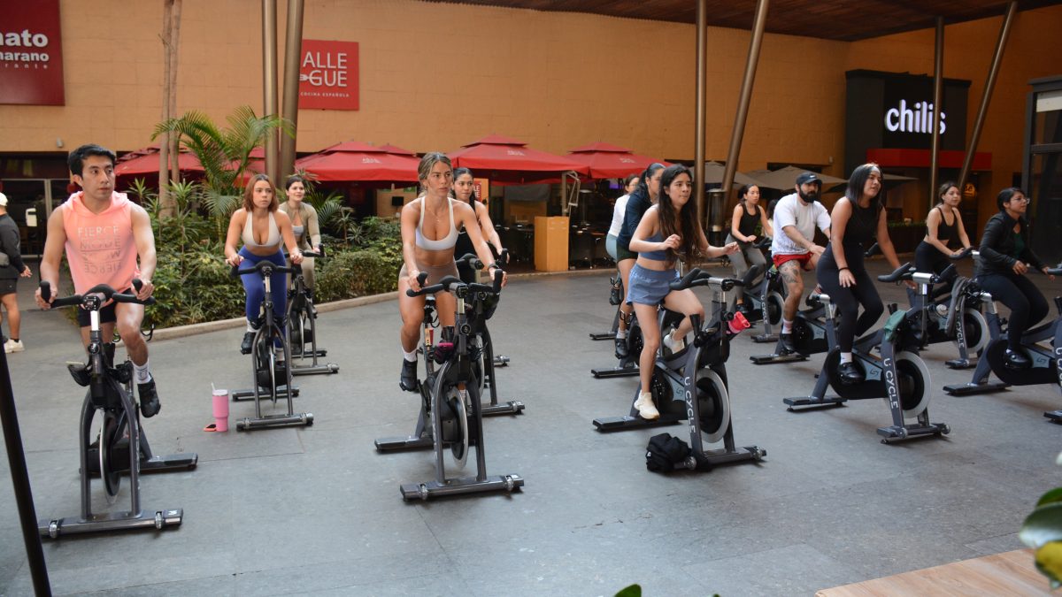 ENERGÍA Y MOVIMIENTO