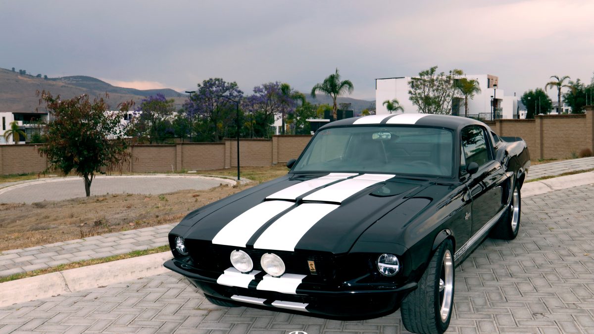 Luxury Classic: Eleanor llega a Puebla