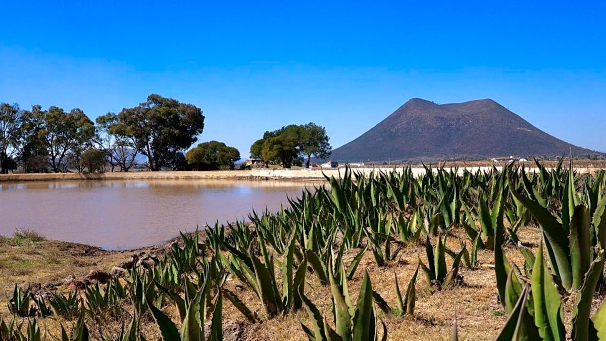 Especial Turismo HIdalgo: Zempoala