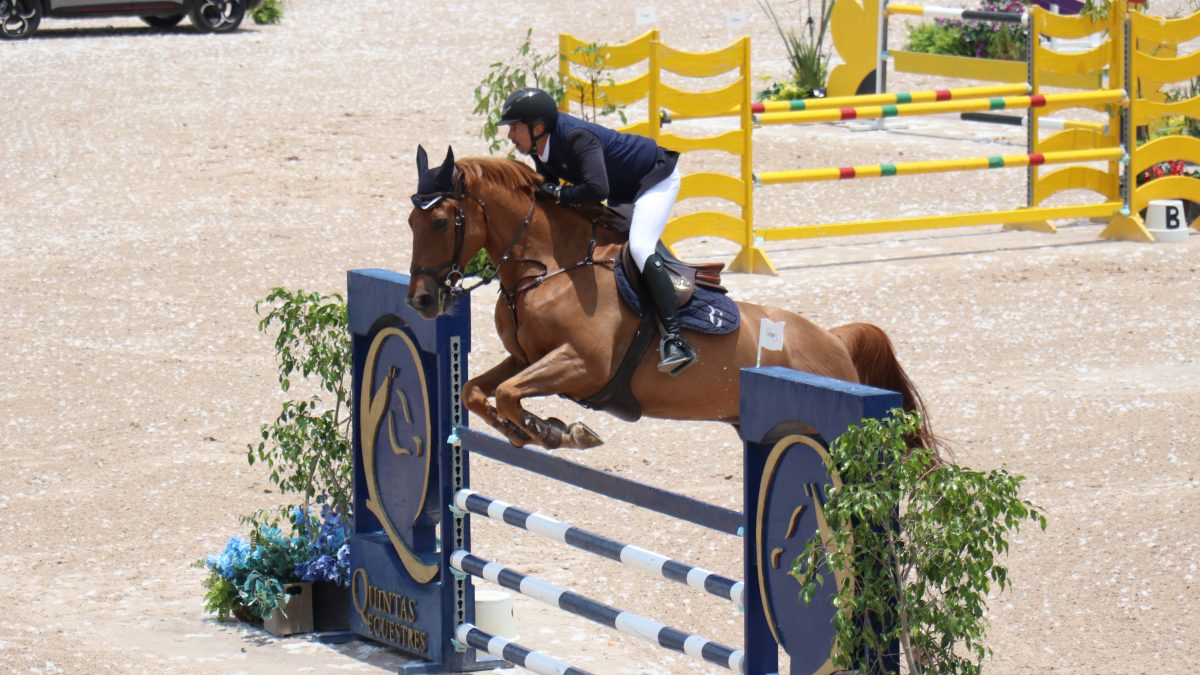 HARAS VIBRA CON EL QUINTAS ECUESTRES SUMMER TOUR 2026
